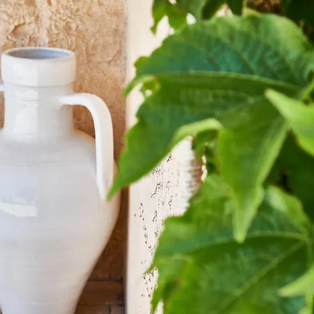 Equorum Prospectus 2 - Centro - Vakantiehuis