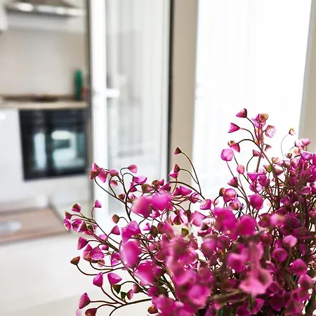 Equorum Prospectus 2 - Centro - Σπίτι διακοπών